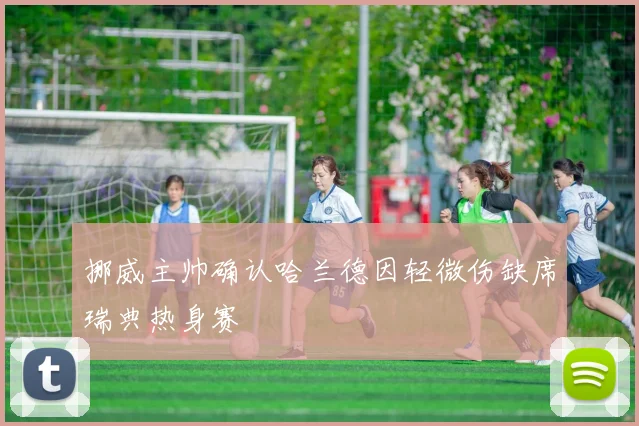 挪威主帅确认哈兰德因轻微伤缺席瑞典热身赛
