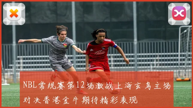 NBL常规赛第12场激战上海玄鸟主场对决香港金牛期待精彩表现